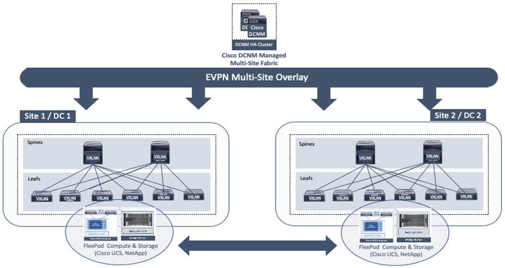 Screen Shot 2021-07-26 at 1.44.31 PM.png
