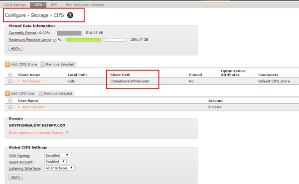 SteelStore cifs share config