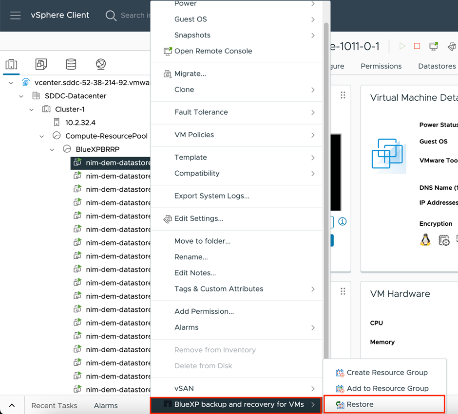 Protect FSx For ONTAP Datastores And VMs On VMware Cloud Using NetApp ...