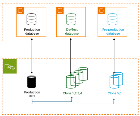 Cloning.png Cloning.png