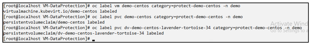 Screenshot 2025-03-12 at 8.38.11 PM.png