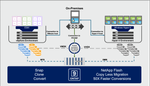 niyaz_2-1746800317702.png
