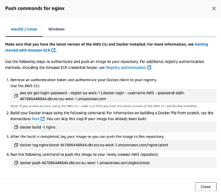 Figure 2) Push commands for the nginx repository.