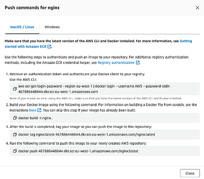 Figure 2) Push commands for the nginx repository.