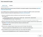 Figure 2) Push commands for the nginx repository.