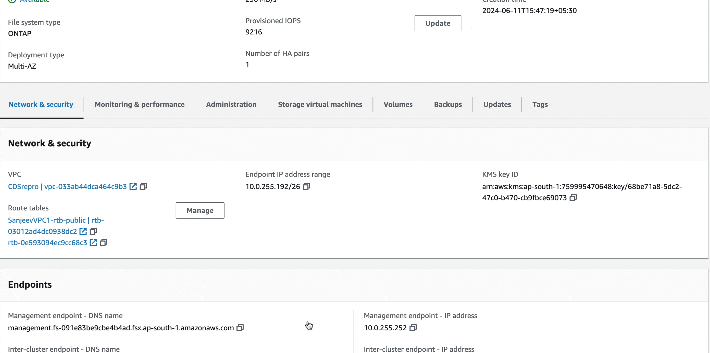 3.ClientIOPSDashboard.gif