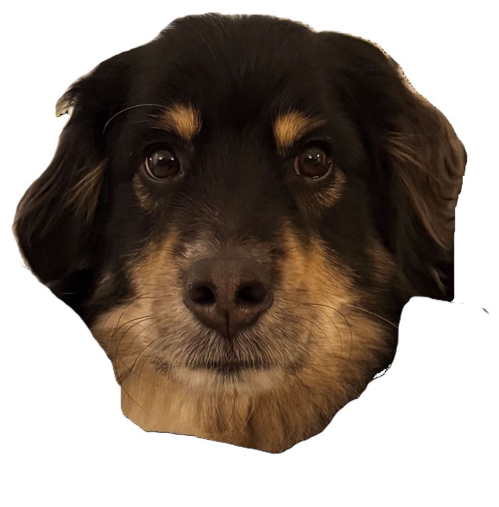 normal benny - Copy.jpg