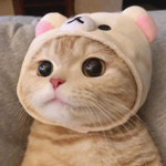hojun