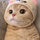 hojun