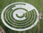 Crop circle2.jpg