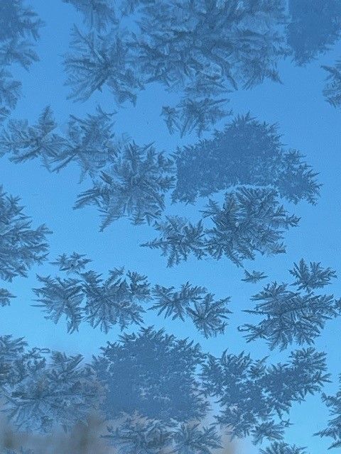 Snowflakes on Windshield 2.jpg