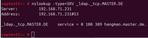 DNS test for LDAP service “MASTER.DE”