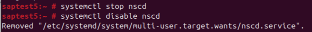 Stop and disable auto start of “nscd”