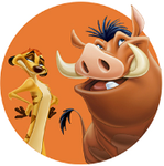 Profile (SpCook)