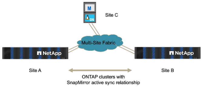 Blog_SMas_Figure6.png