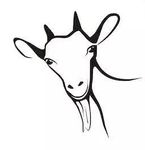 Profile (TheGoat)