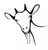 goatlook.jpg