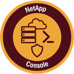 NetApp Console.png