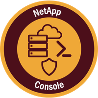 NetApp Console.png