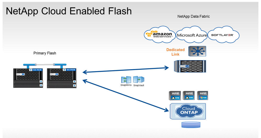 NetApp Cloud Enabled Flash