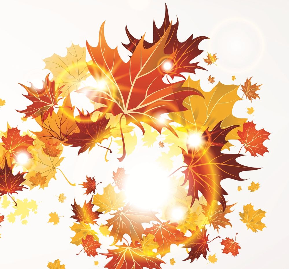 2autumn_leaves_abstract-wide.jpg