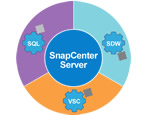 Control Your Data as It Moves Throughout the Data Fabric with NetApp SnapCenter 