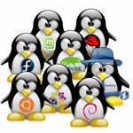 Linux_distros.jpg