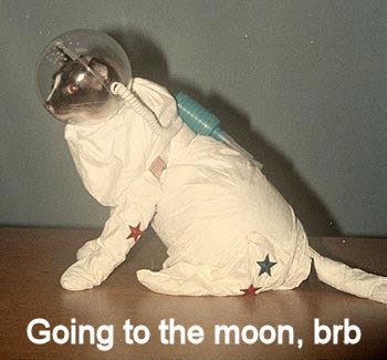 brb.jpg