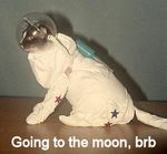 brb.jpg