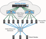 Figure 1) EF-Series and MongoDB configuration