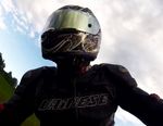 Profile (membit)