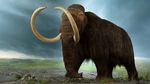 mammoth.jpg