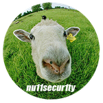 Profile (nu11secur1ty)