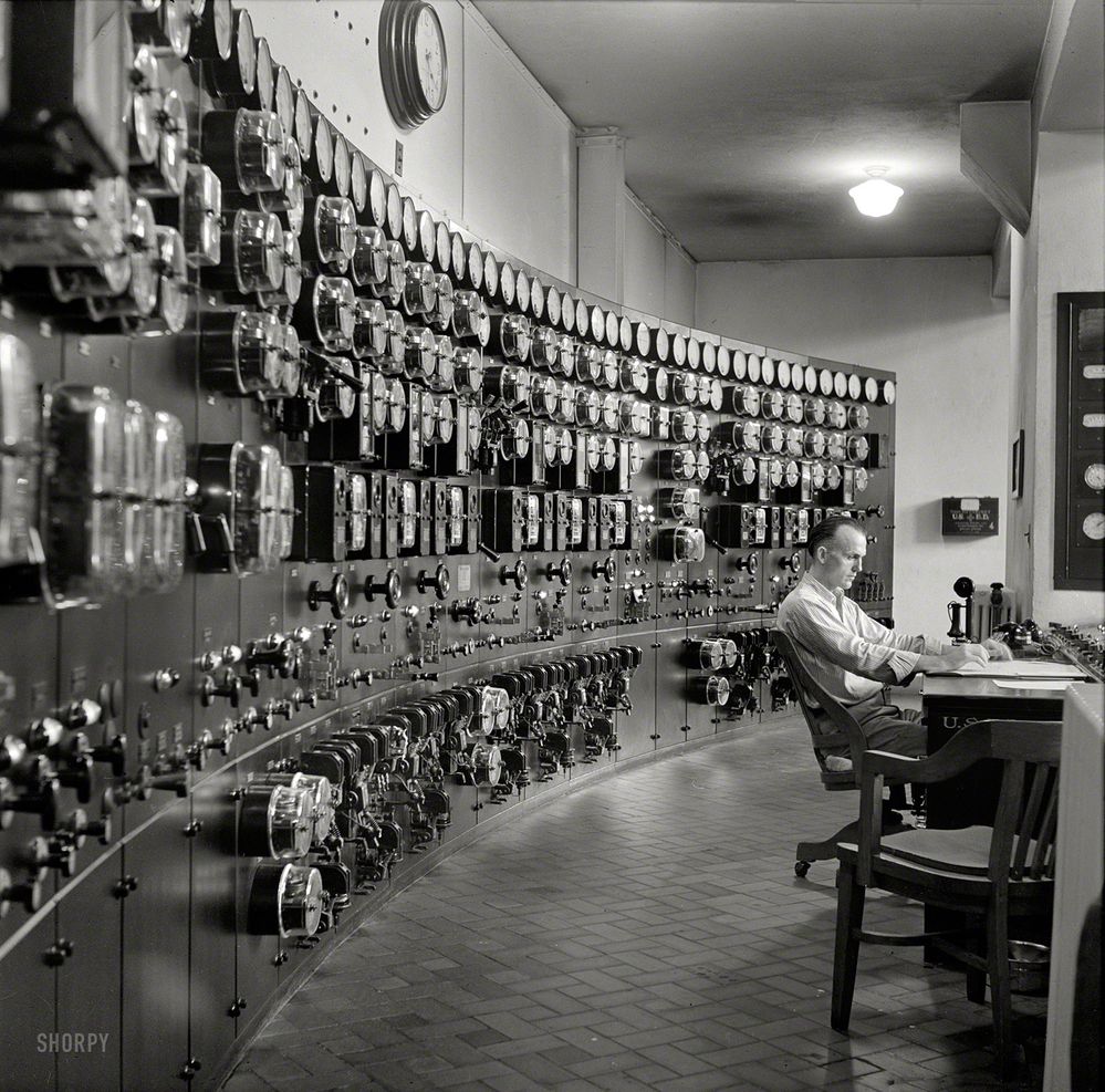SHORPY_8b31582a.jpg