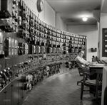 SHORPY_8b31582a.jpg
