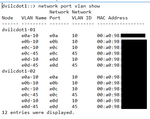 NetApp_vlan.png