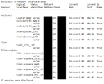 netapp_interfaces.png