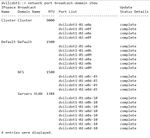 netapp_broadcast_domain.png