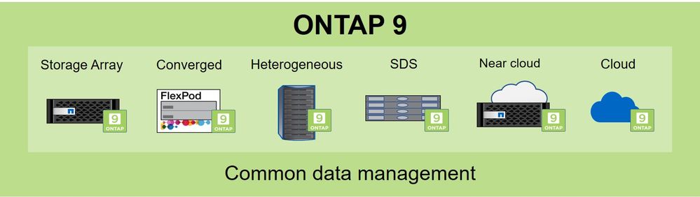 Common Data Management