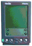 palm.gif