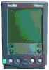 palm.gif