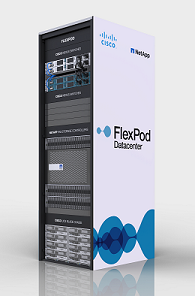 flexpod small.png