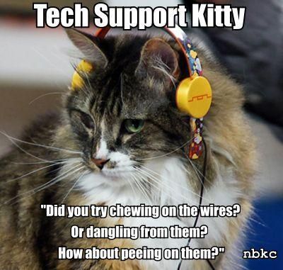 tech support cat meme