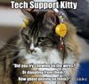 Tech Support Kitty Meme