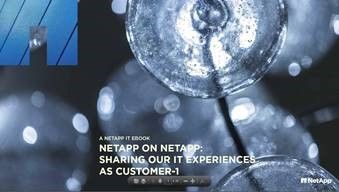 graphic NetApp on NetApp.jpg