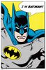 batman-i-m-batman.jpg