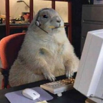 marmot-and-computer-373x373.png