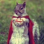 Profile (marthasimons)