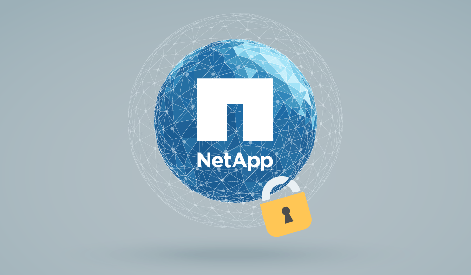 netapp-safe-harbor.png