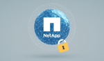netapp-safe-harbor.png